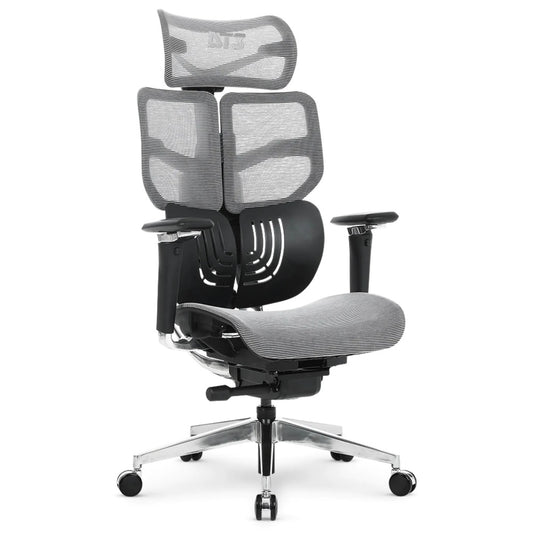 Silla de Oficina DT3 Ergonomica Reposo Lumbar Malla Transpirable Estructura de Aluminio y Nylon Reclinable 135° 14346-8