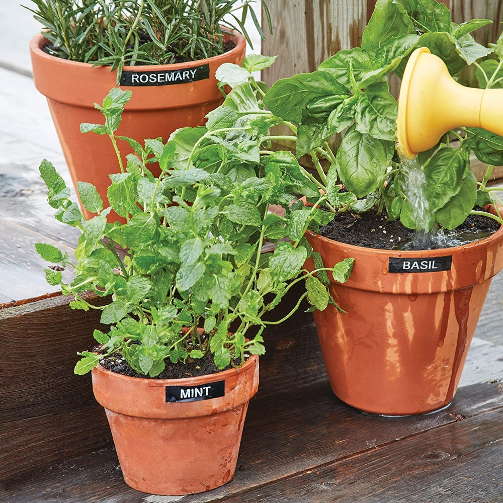 Etiquetadora Dymo Labelmanager 160 Negro Incluye 1 Cinta D1 Negro fondo Blanco 2175086