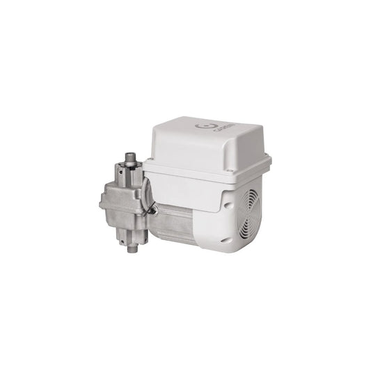 Motor Basculante BV FIT Motor 1/4HP Central TSI FIT Accionamiento F01853 con 2 Controles Remotos 433MHz F02049-G
