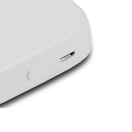 Gateway Zkteco Comunicacion WiFi Bluetooth Compatible con ML300 Trabaja con Alexa y Google Assitant Soporta hasta 128 Sub Dispositivos SLG200