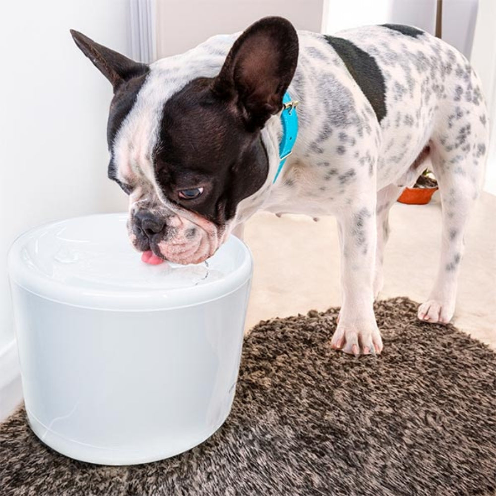 Fuente de Agua Dimax Smart para Mascota de 2 Litros Incluye Filtro Multiple Conexion WiFi Alimentacion 5Vdc G108